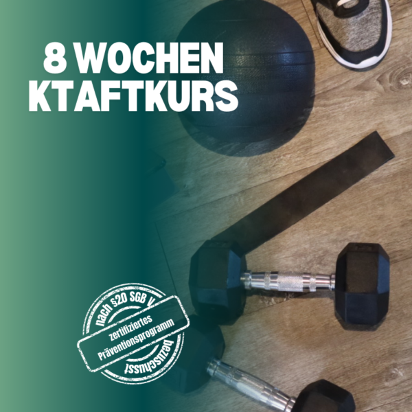 Gesundheitsführerschein online – Ganzkörper Kräftigungstraining