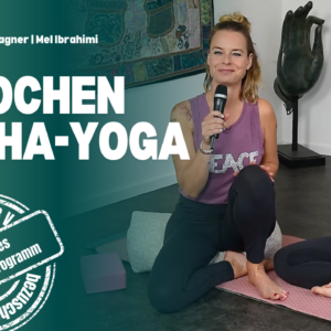 Gesundheitsführerschein online – Einsteigerkurs Hatha Yoga